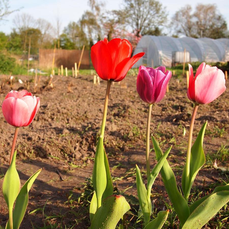 Amsterdam Farm Lodge 외부 사진