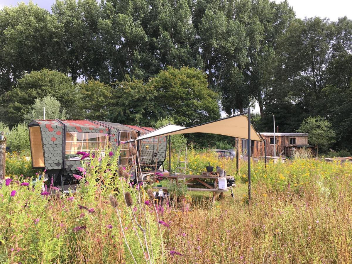 Amsterdam Farm Lodge 외부 사진