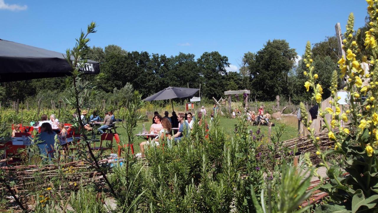 Amsterdam Farm Lodge 외부 사진