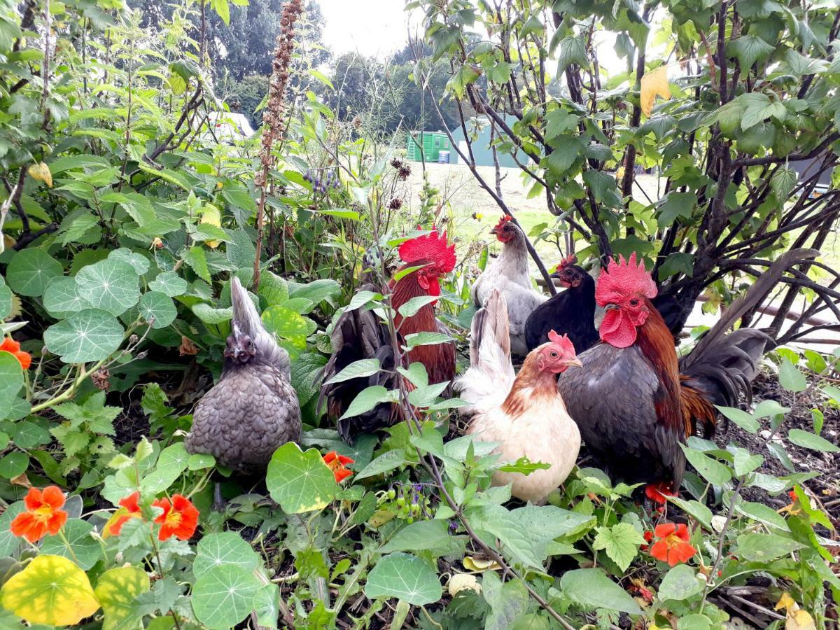 Amsterdam Farm Lodge 외부 사진