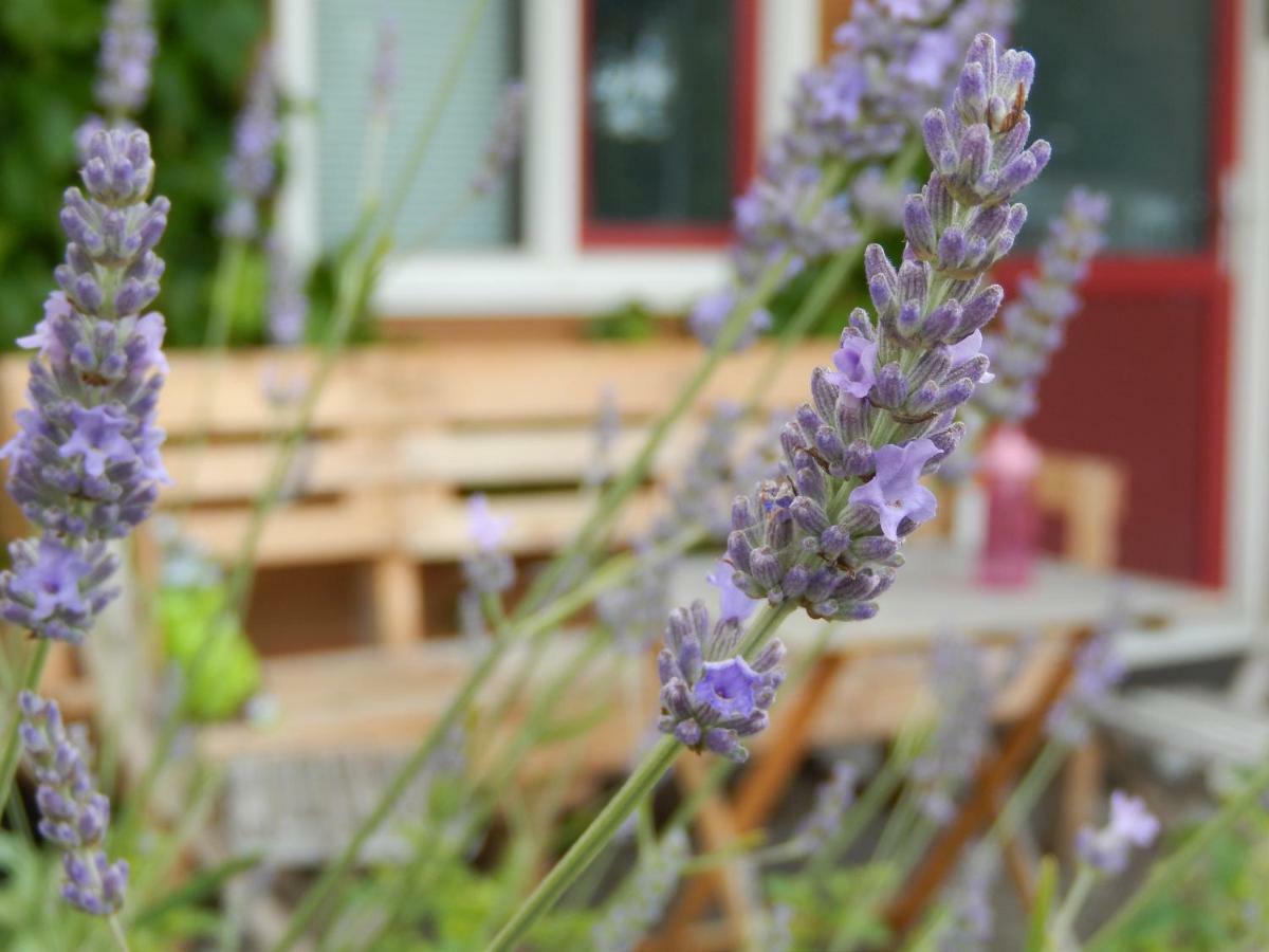 Amsterdam Farm Lodge 외부 사진